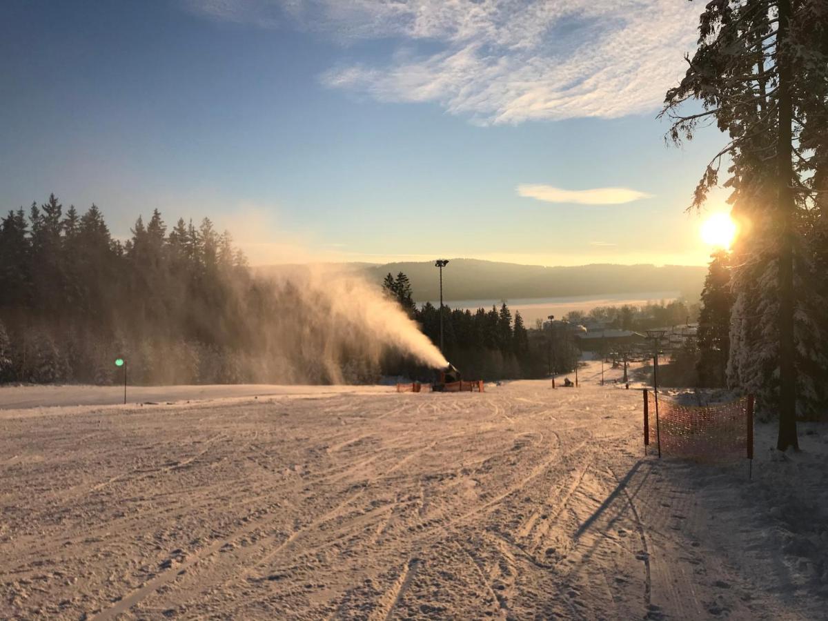 HausLipno Leilighet Lipno nad Vltavou Eksteriør bilde