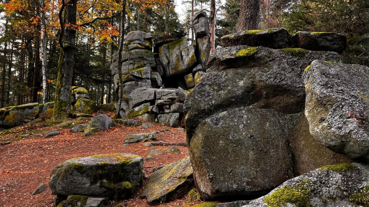 HausLipno Leilighet Lipno nad Vltavou Eksteriør bilde