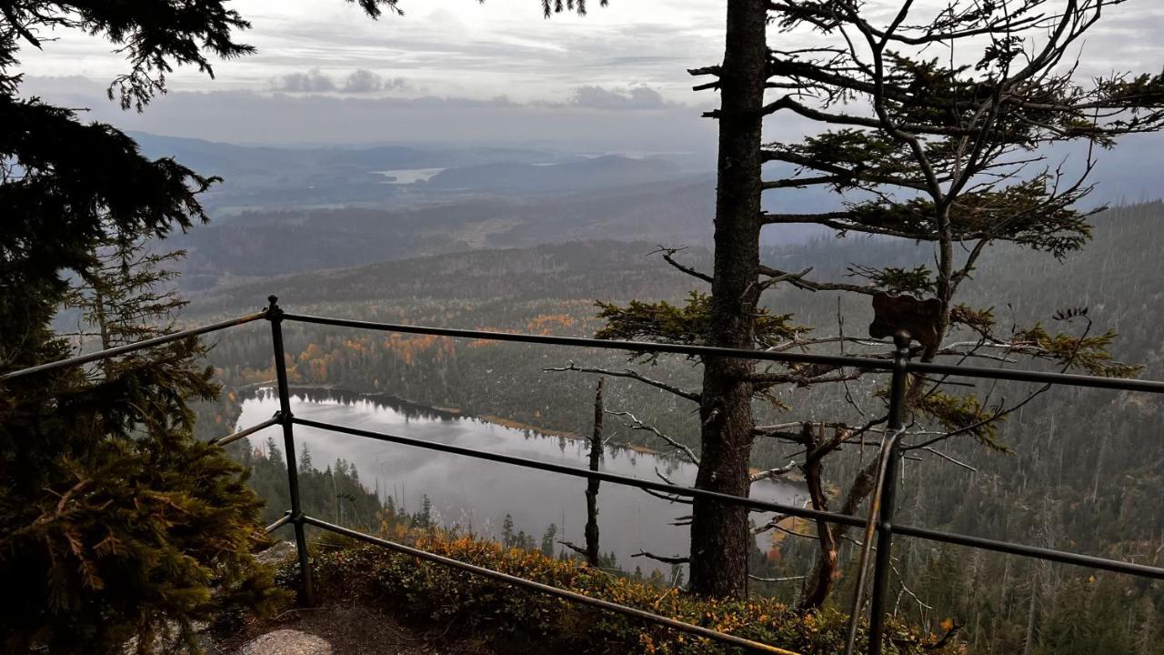 HausLipno Leilighet Lipno nad Vltavou Eksteriør bilde