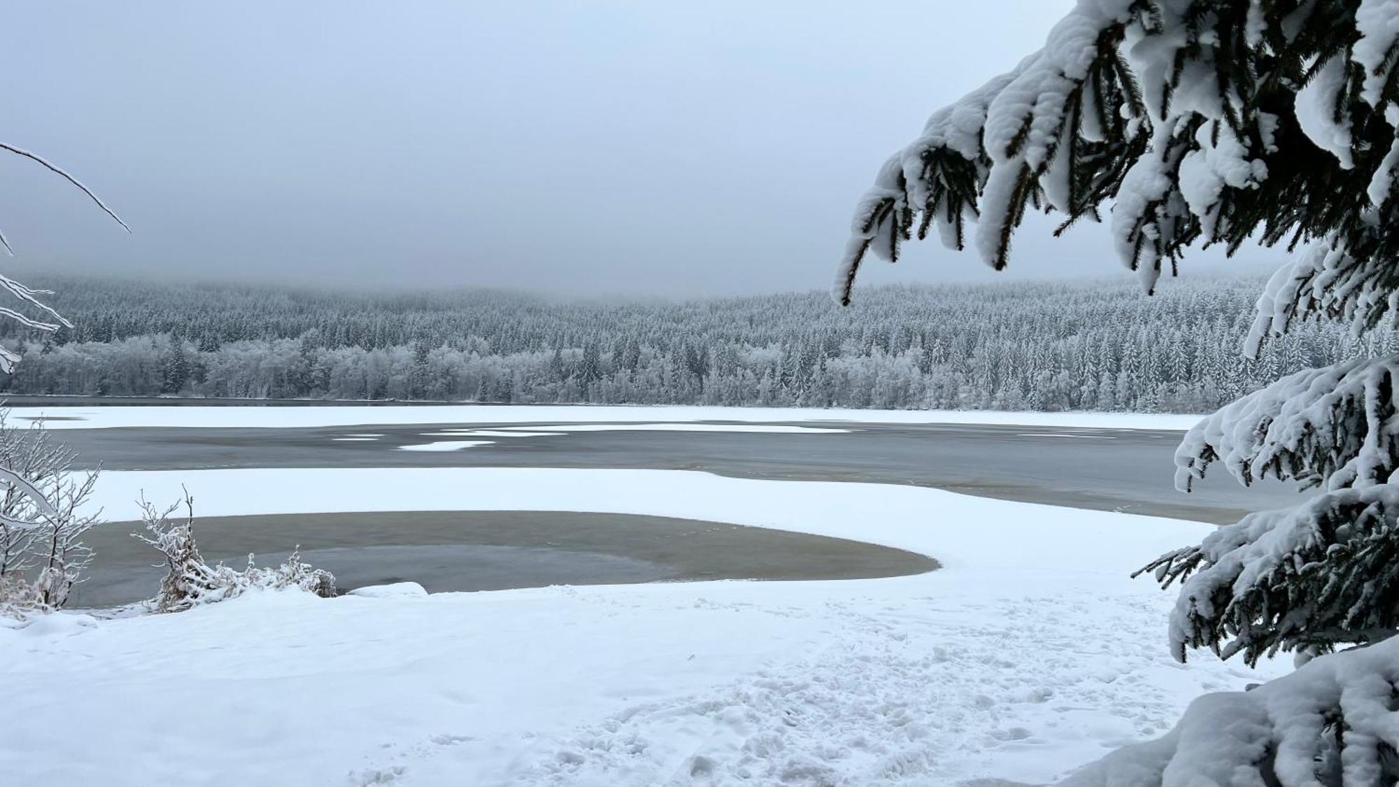 HausLipno Leilighet Lipno nad Vltavou Eksteriør bilde